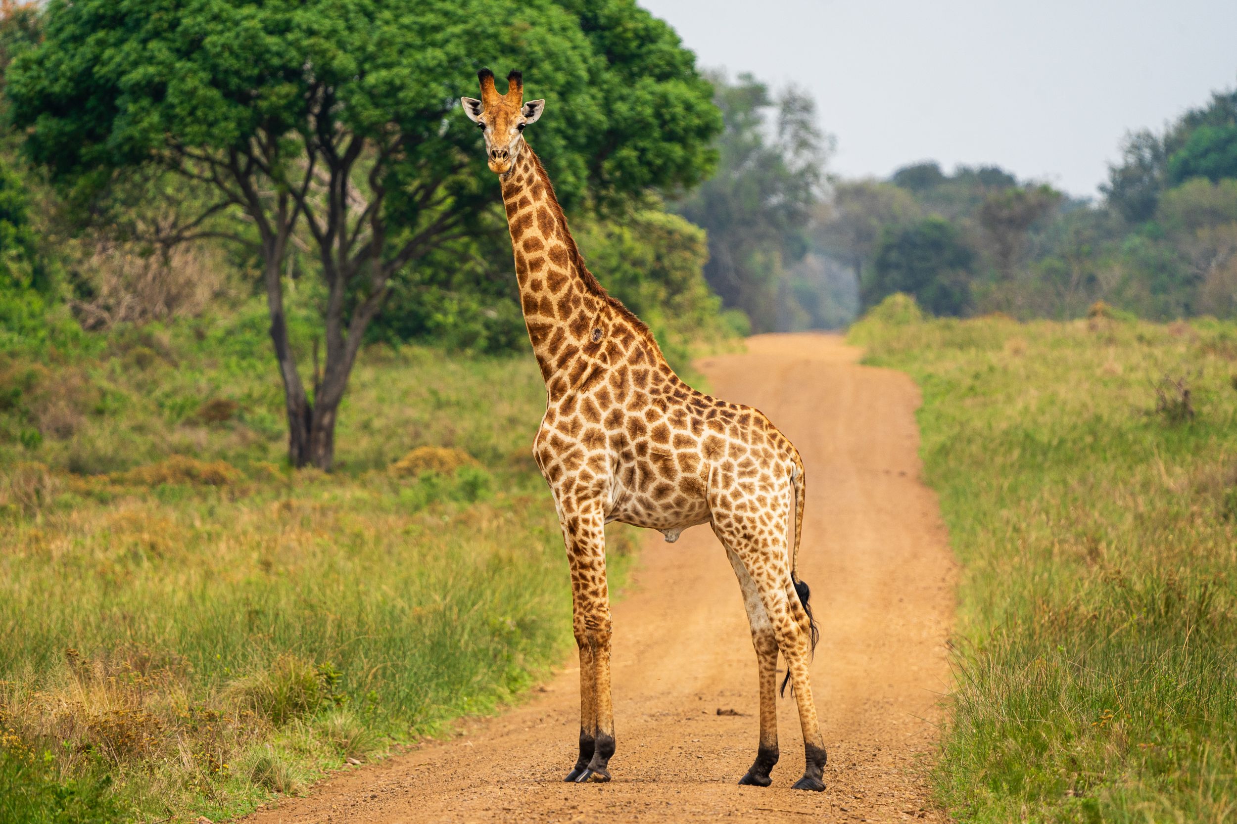 20230924 124129 Fotobuch Südafrika 03890